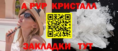 стаф Сланцы