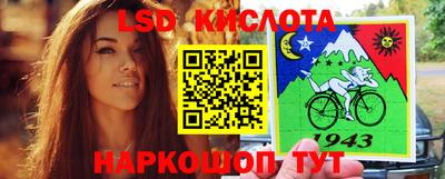 стаф Сланцы