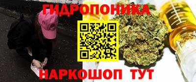 стаф Сланцы