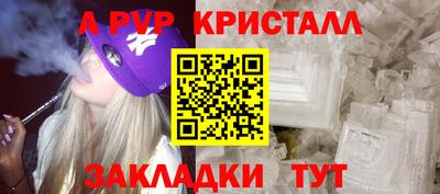 стаф Сланцы
