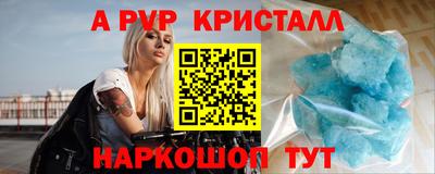 стаф Сланцы