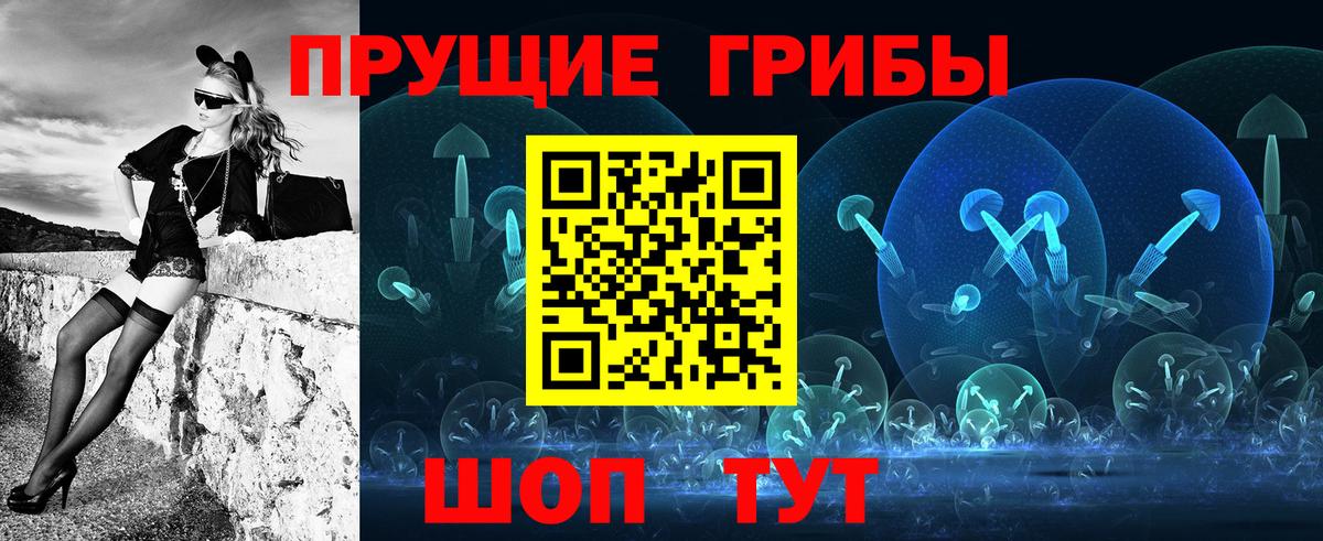 где найти наркотики  Вход с VPN  Белебей  Галлюциногенные грибы Psilocybine cubensis 